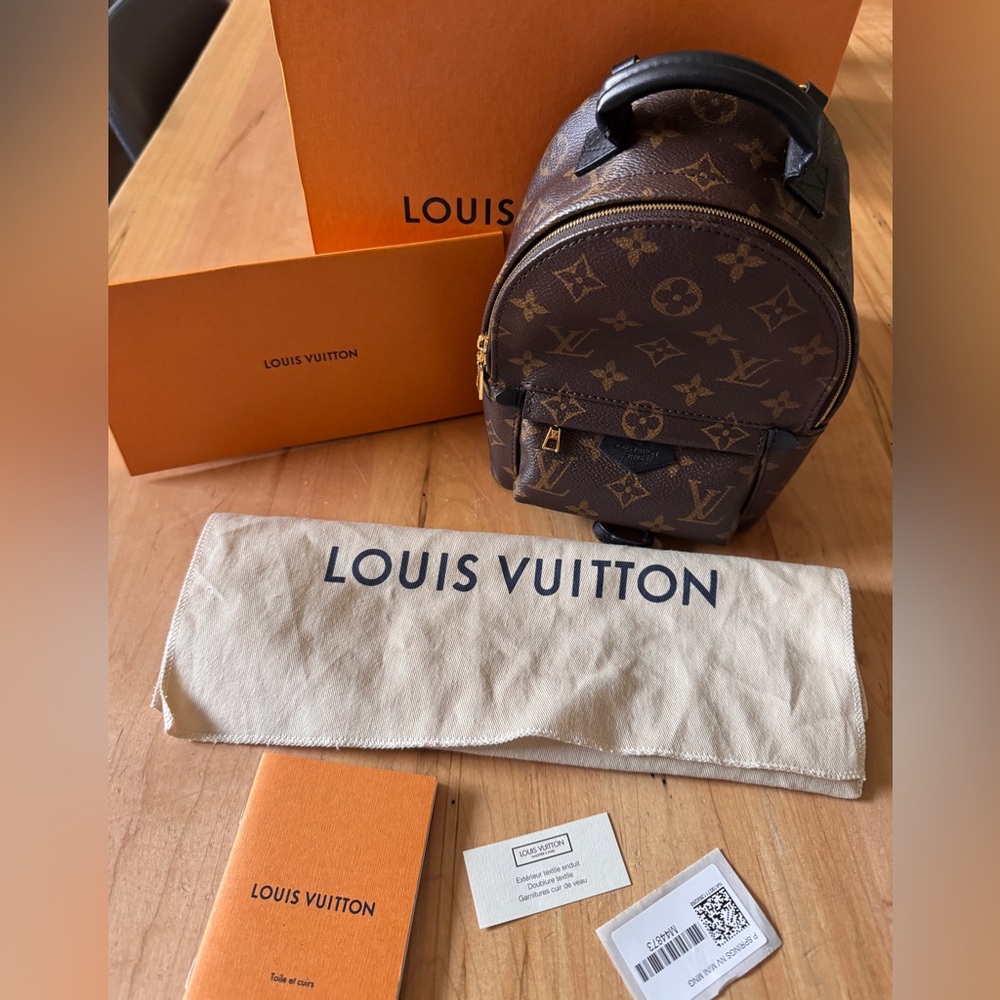Louis Vuitton Palm Springs Mini